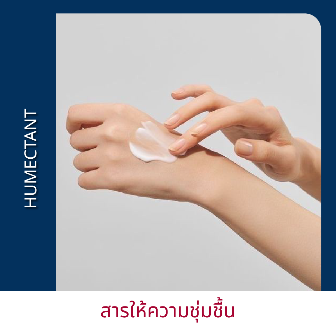 Learning Cossign | รับ พัฒนาสูตรเครื่องสําอาง โดยผู้เชี่ยวชาญ 10 ปี จัดจำหน่ายเคมีภัณฑ์ ส่วนผสมเครื่องสําอาง วัตถุดิบอาหารเสริม ครบวงจรสำหรับ OEM