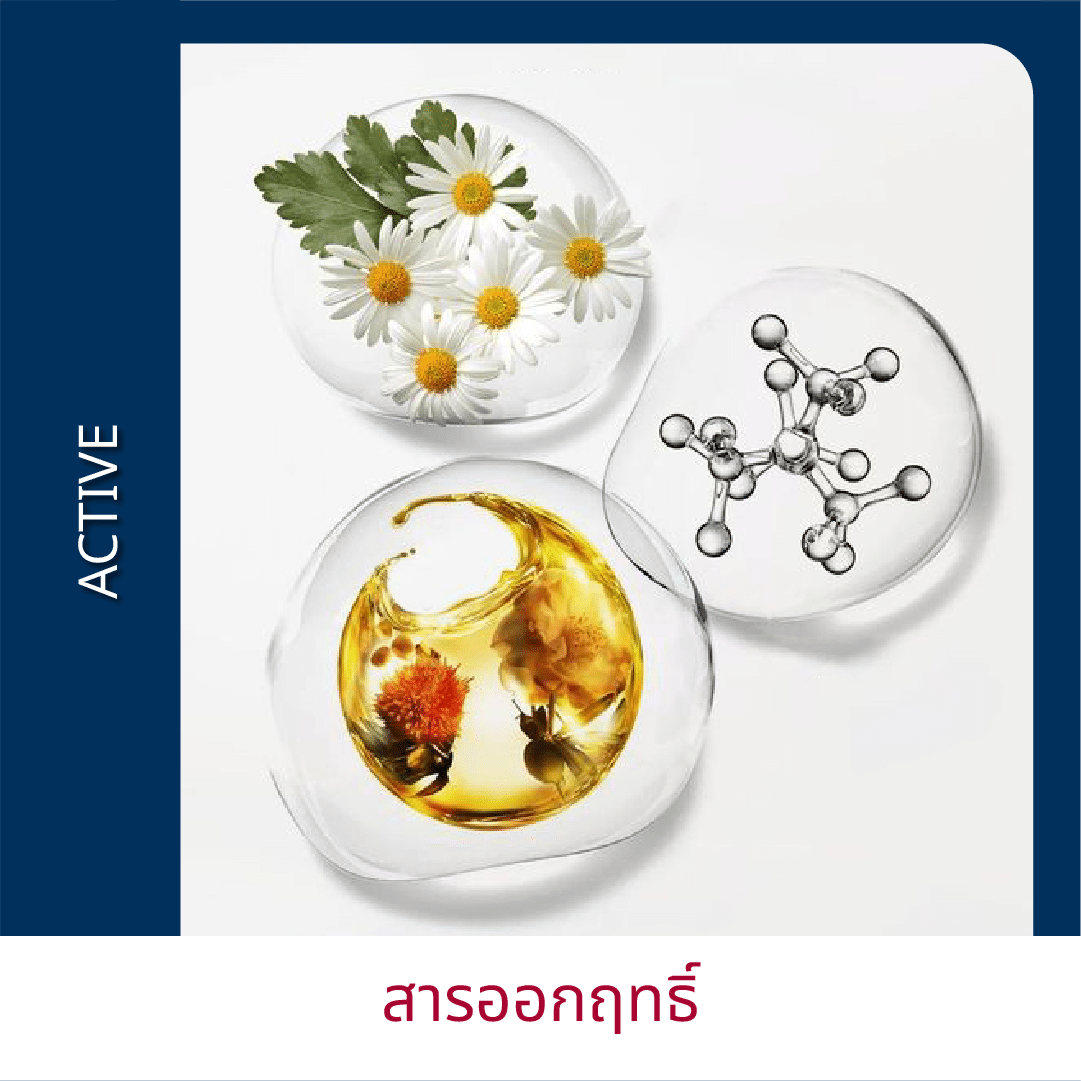 Learning Cossign | รับ พัฒนาสูตรเครื่องสําอาง โดยผู้เชี่ยวชาญ 10 ปี จัดจำหน่ายเคมีภัณฑ์ ส่วนผสมเครื่องสําอาง วัตถุดิบอาหารเสริม ครบวงจรสำหรับ OEM